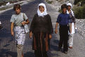 Albanesi nel 1982