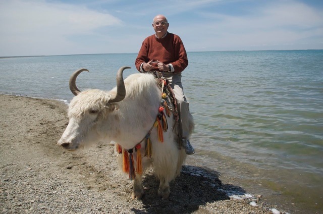Sulla spoda del Kokonor, Qinghai